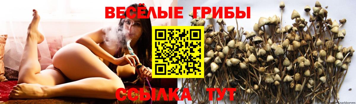 Галлюциногенные грибы Cubensis  Галлюциногенные грибы MAGIC MUSHROOMS  Вход с VPN  Артёмовский 